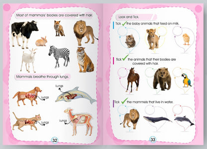 🌟 المستوى الثاني – KG2 🌟