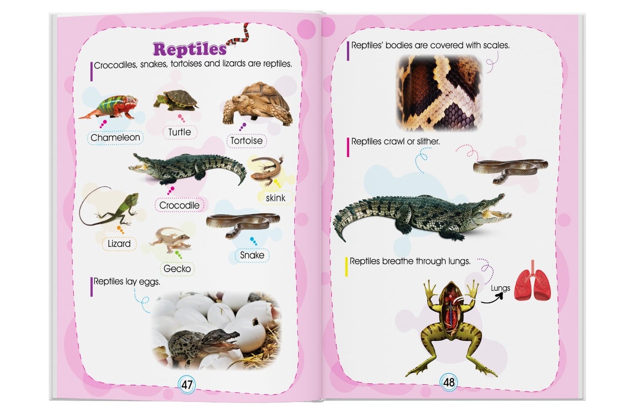 🌟 المستوى الثاني – KG2 🌟