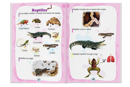 🌟 المستوى الثاني – KG2 🌟