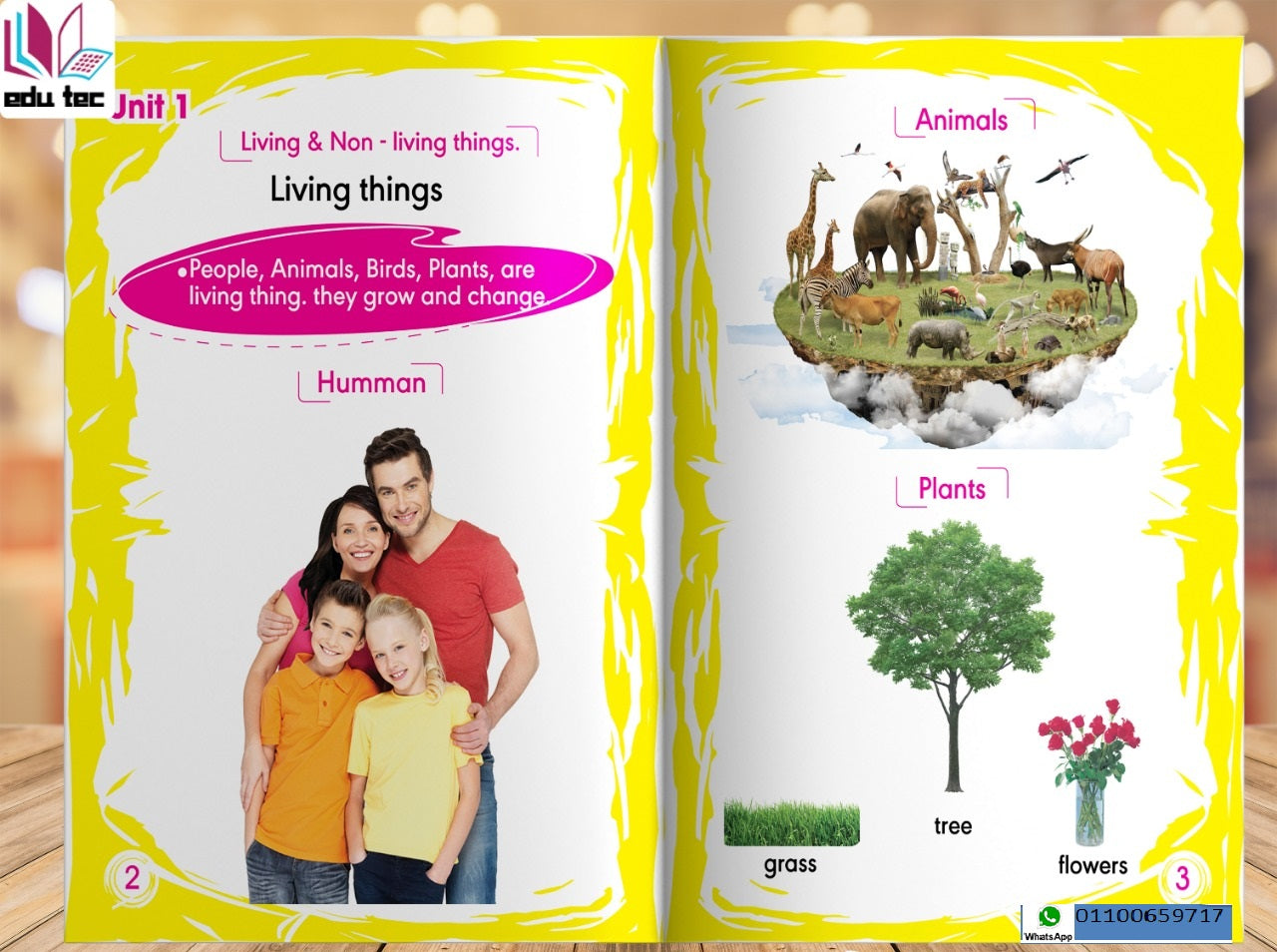 🌟   المستوى الأول - KG1    🌟