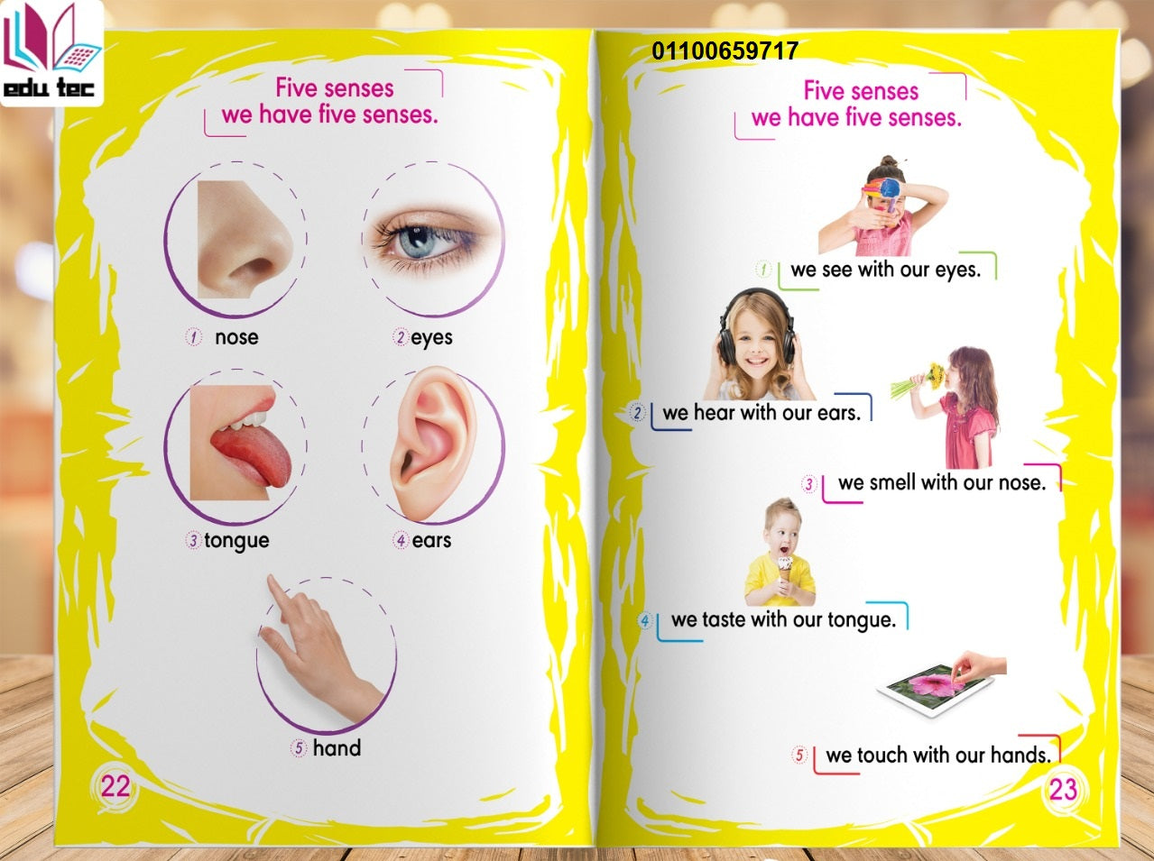 🌟   المستوى الأول - KG1    🌟